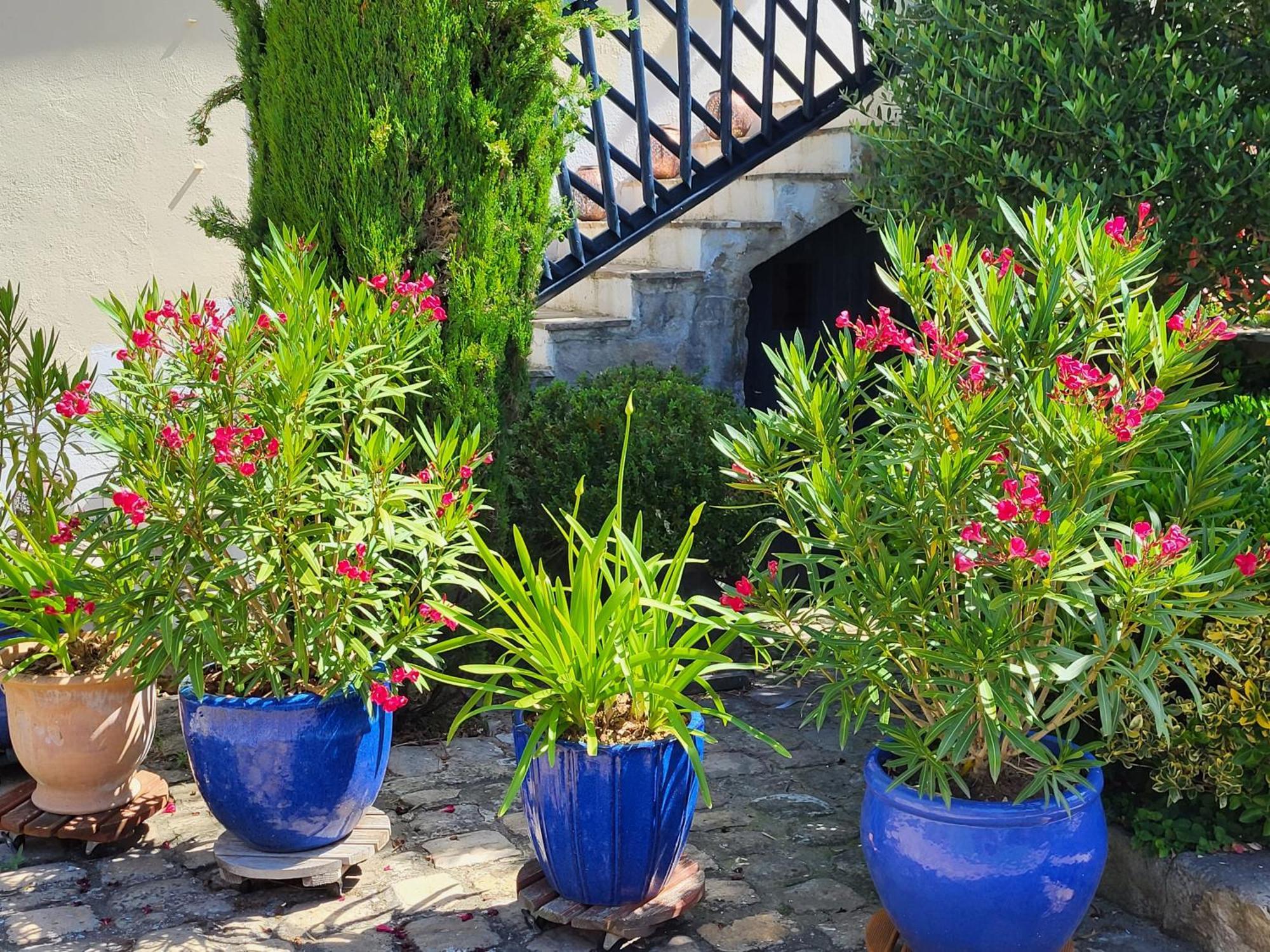 Les Glycines Bed & Breakfast Ury Ngoại thất bức ảnh