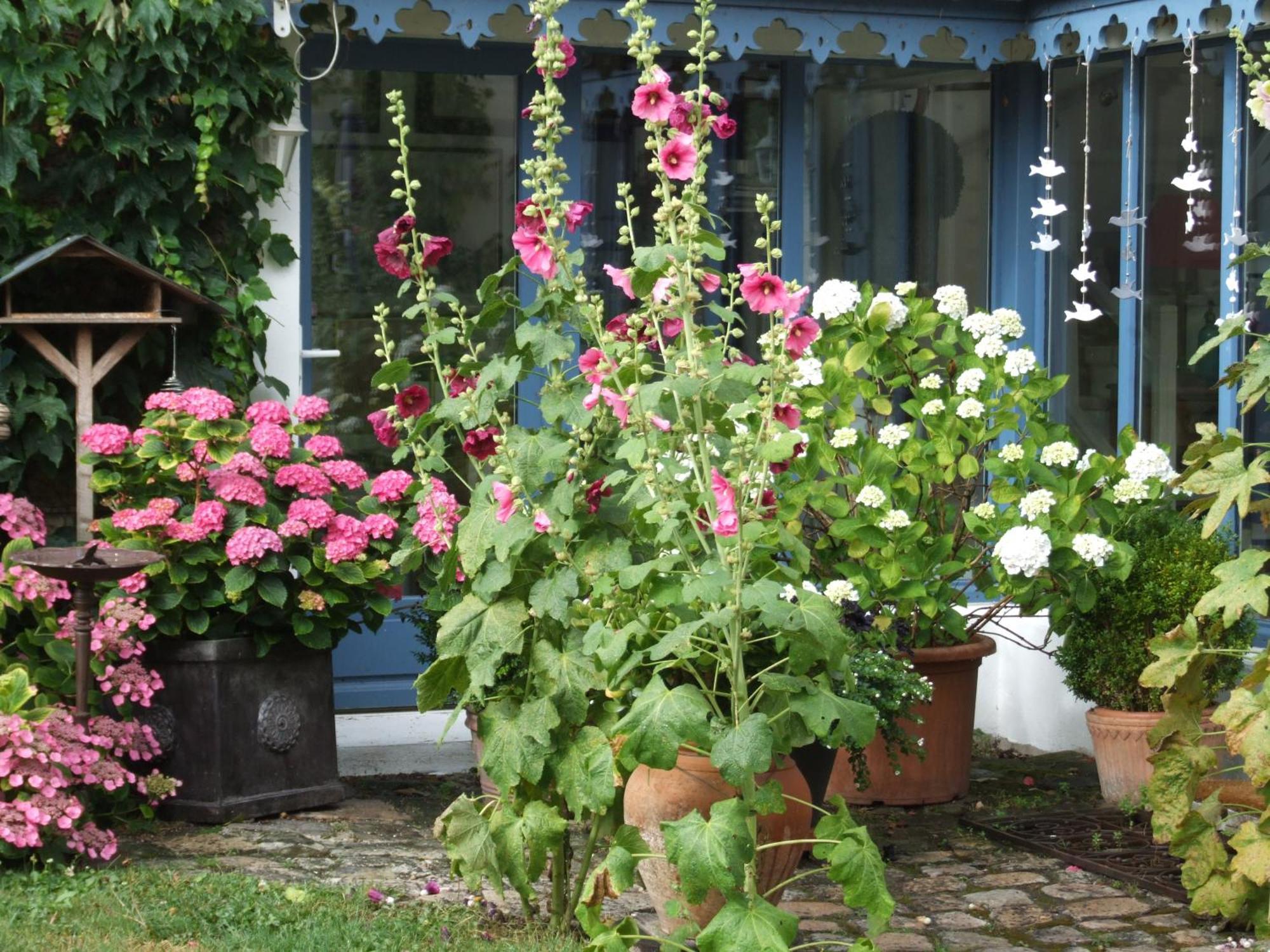 Les Glycines Bed & Breakfast Ury Ngoại thất bức ảnh
